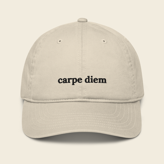 carpe diem / seize the day - latin quote hat